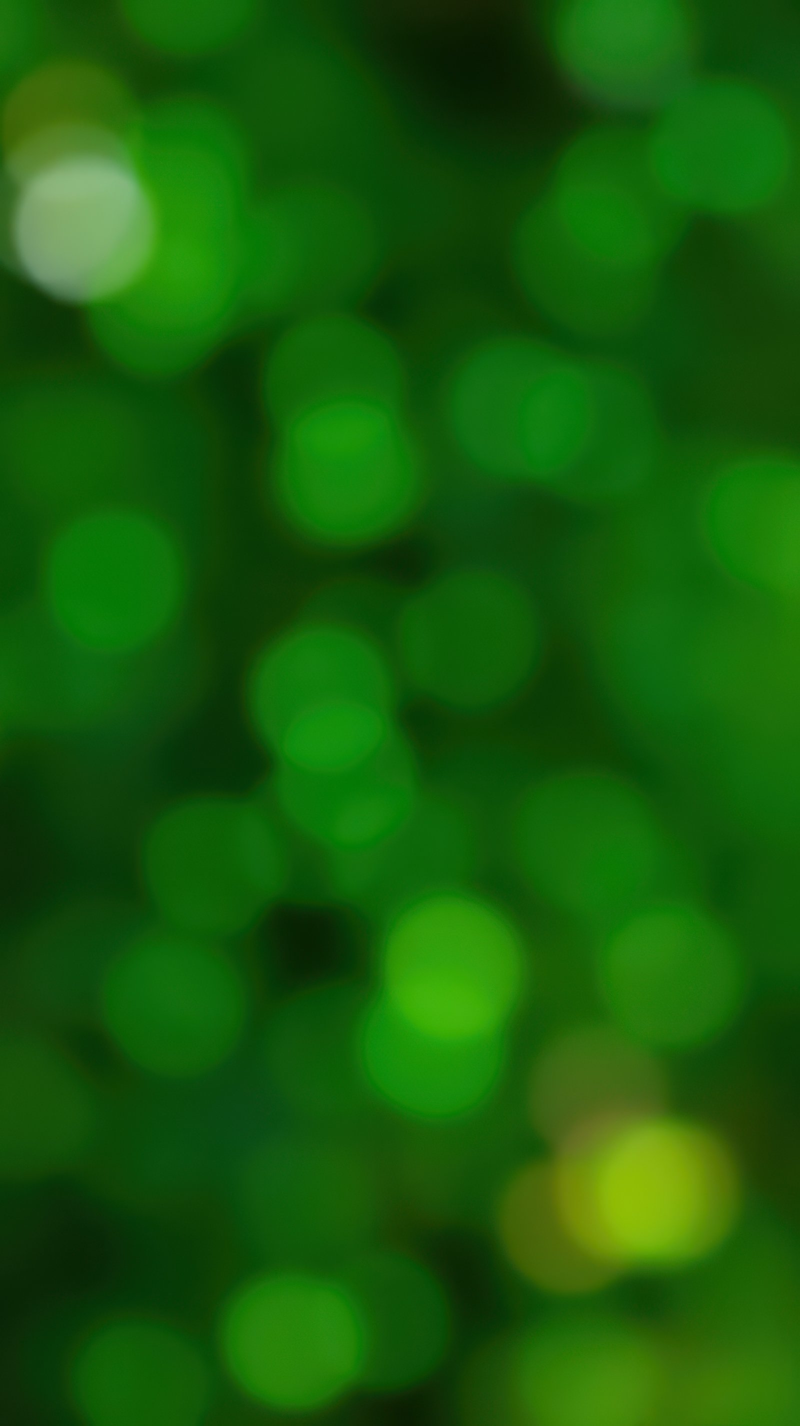 Vivid green bokeh background creates a fresh and lively atmosphere for various designs and presentations